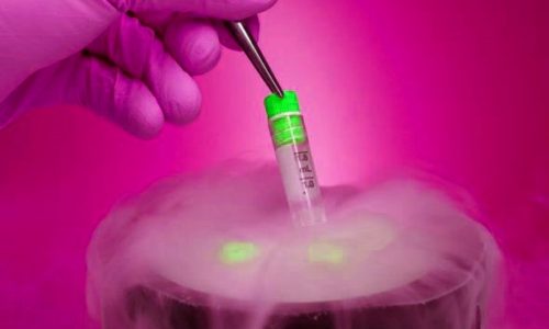 What is Cryopreservation