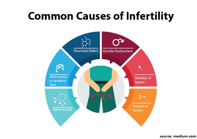 What Are The Most Common Causes Of Male Infertility