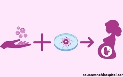 Egg Donor IVF – All you need to know