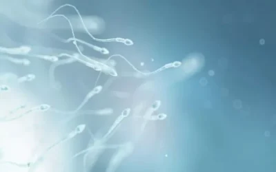 Semen Without Sperm: What Causes Azoospermia?