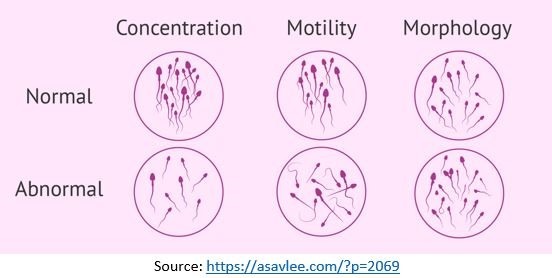 Images for Motility