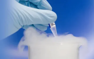 Oocyte Cryopreservation: Freezing Eggs for the Future
