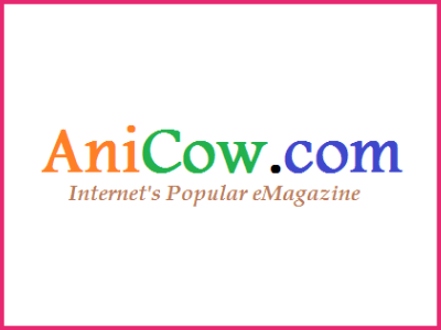 anicow image