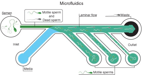 Microfluidics2