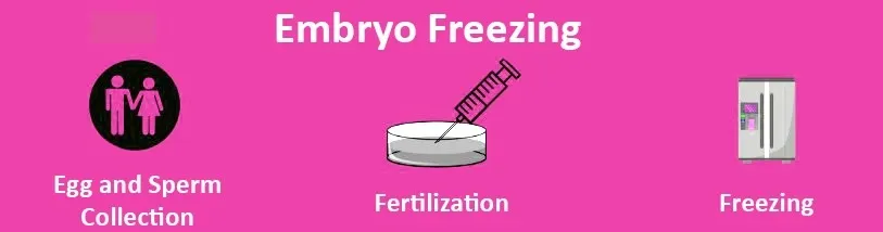 Embryo-Freezing