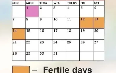 How to Check for Fertile Periods?