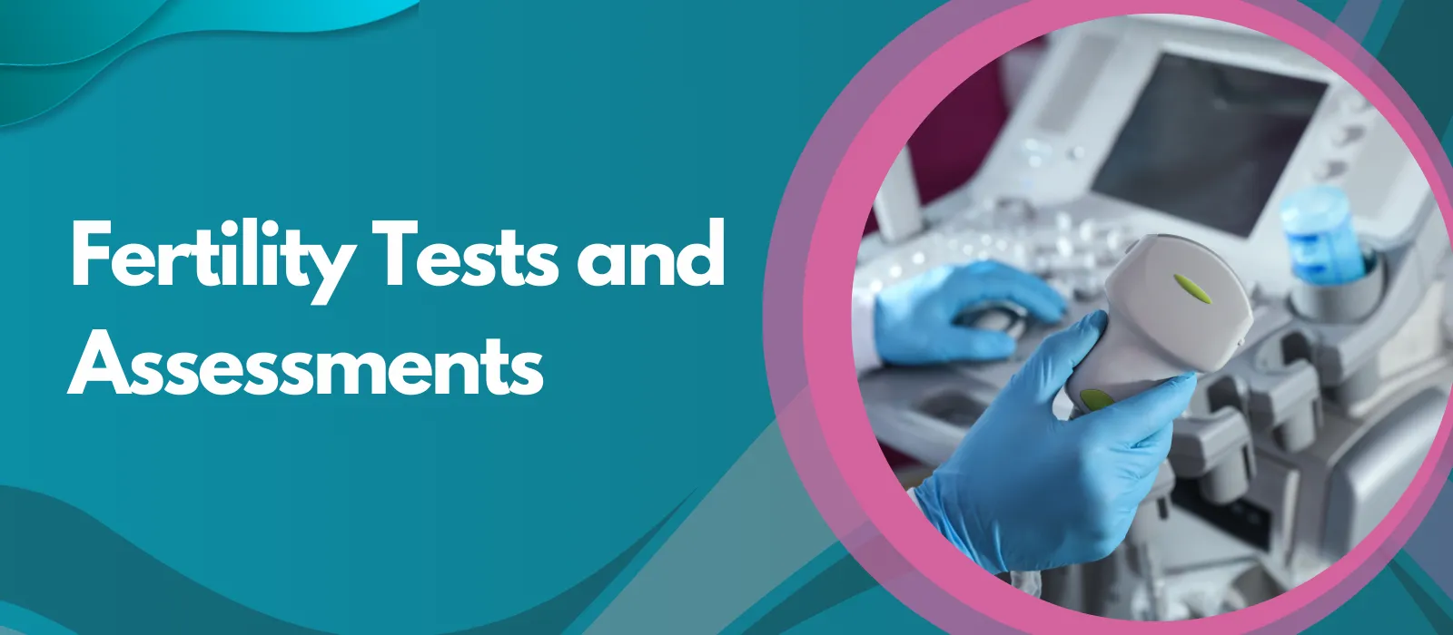 Fertility Tests and Assessments
