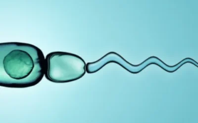 Why Semen Analysis Important in Male Infertility Treatment