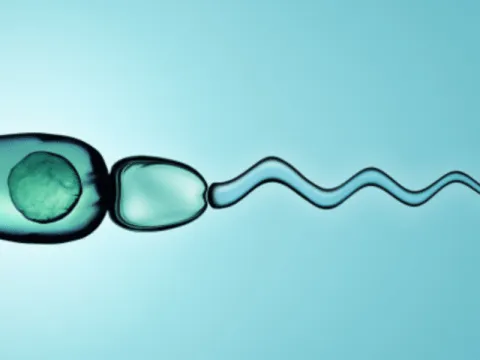 Why Semen Analysis Important in Male Infertility Treatment