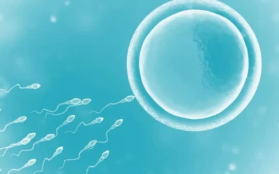How can the IUI Procedure help with infertility?