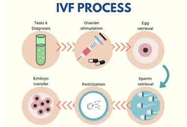Why does IVF fail with good Embryos?