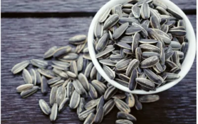 15 Foods To Boost Fertility