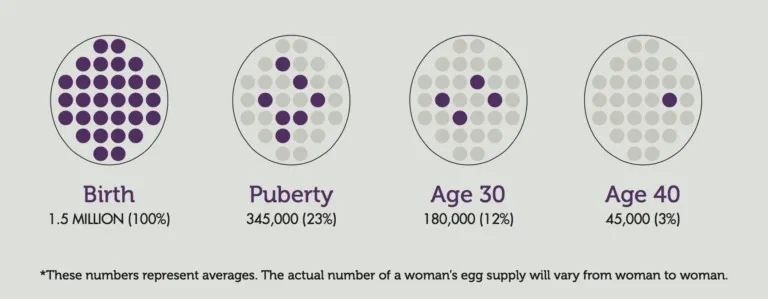 average-egg-count-by-age