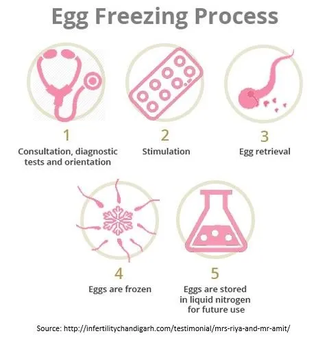 egg-freezing-treatment
