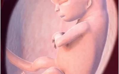 What are the various fertility treatments available in Ahmedabad?