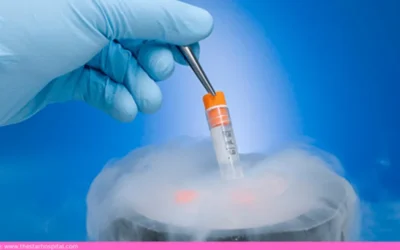 Can A Late Implantation After Frozen Embryo Transfer Result In A Successful Pregnancy?