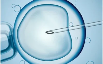 Things to Avoid After IUI