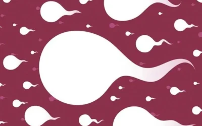 How to Increase your Sperm Count?