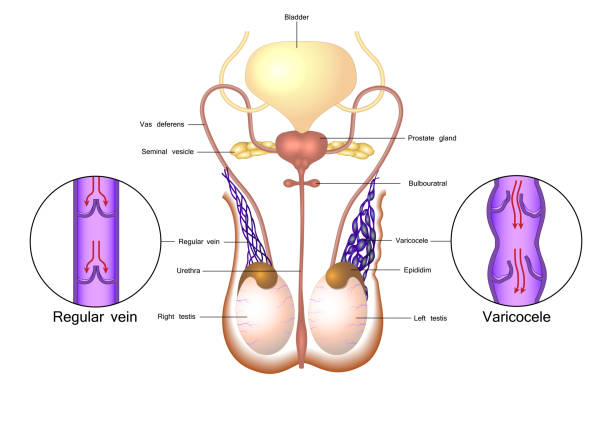 Surgical Treatments