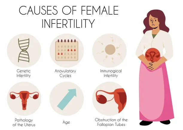 Types of Female Infertility We Treat Types of Female Infertility We Treat