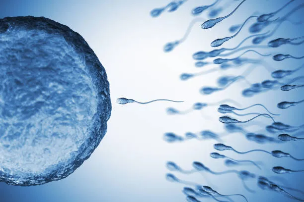 8 Days After IUI No Symptoms?