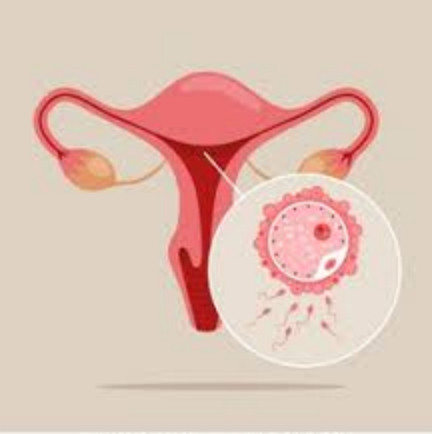Causes of White Discharge After 10 Days of IUI