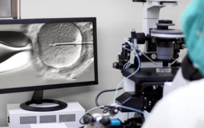 5-Day Embryo Transfer: Key Steps, Benefits & Success at Nisha IVF Centre, Ahmedabad