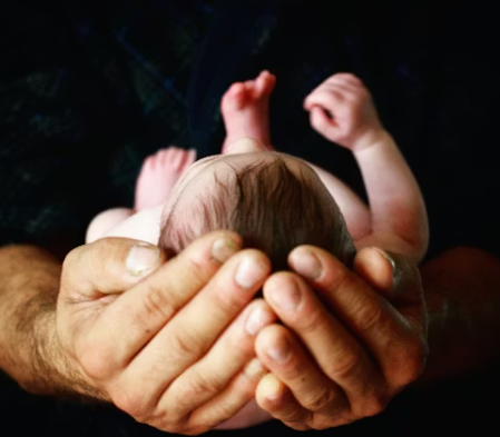 Adult hands cradle a newborn baby's head and neck from above, offering gentle support.