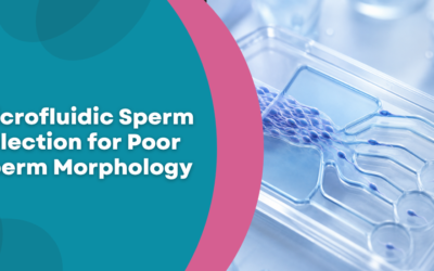 Microfluidic Sperm Selection for Poor Sperm Morphology?