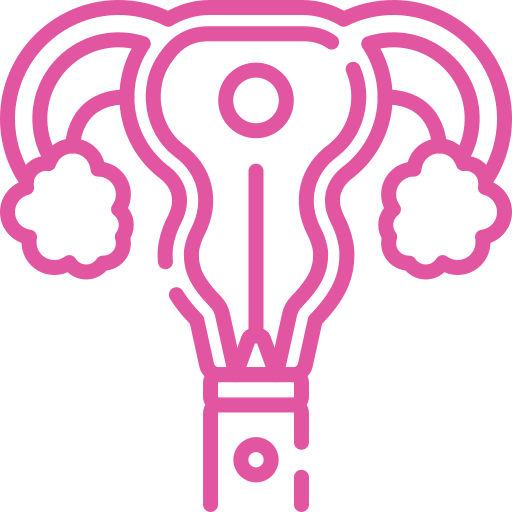 Stylized pink outline of a uterus with fallopian tubes and ovaries, shown as an anatomy diagram