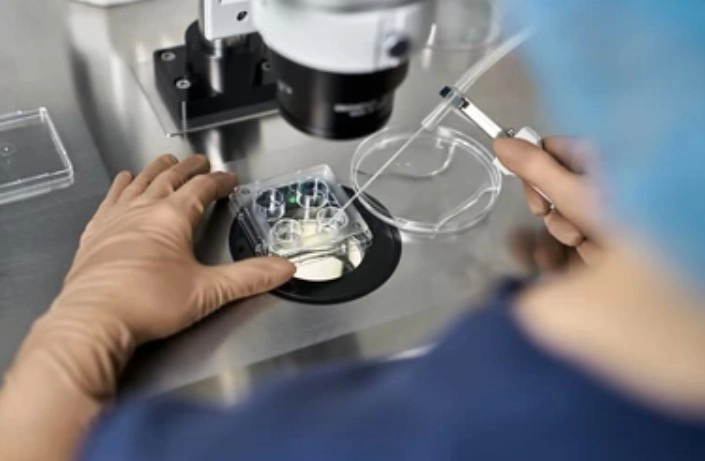 embryology lab