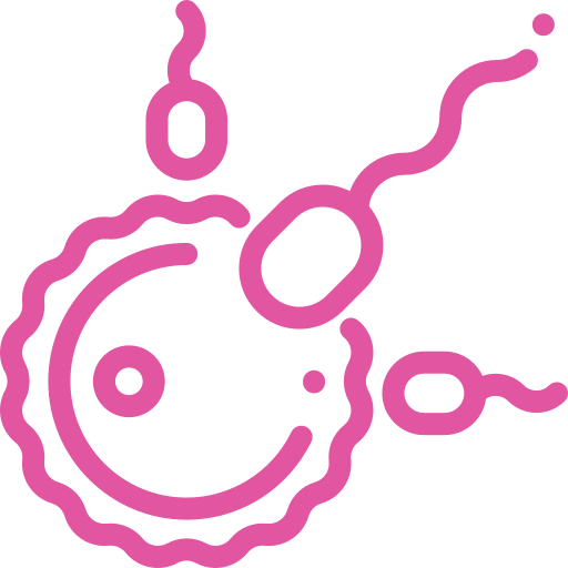 Pink line drawing of a sperm cell with a rounded head and wavy tail.