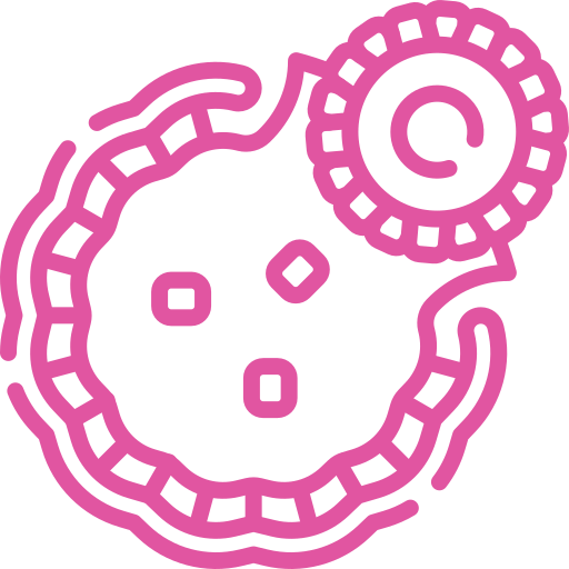 Pink line-art of a stylized cell with a nucleus and surrounding membrane on a black background.