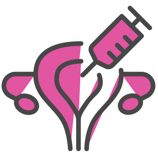 Stylized illustration of a syringe entering the uterus (female reproductive system) for reproductive health or vaccination context, pink and gray.